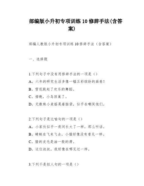 部编版小升初专项训练10修辞手法(含答案)