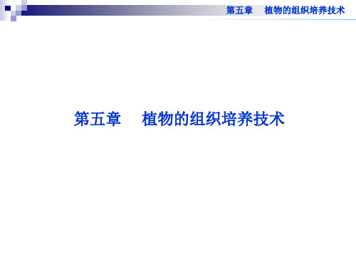 5.1 植物快速繁殖技术 课件(中图版选修1) (1)