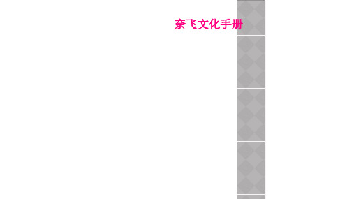 奈飞文化手册