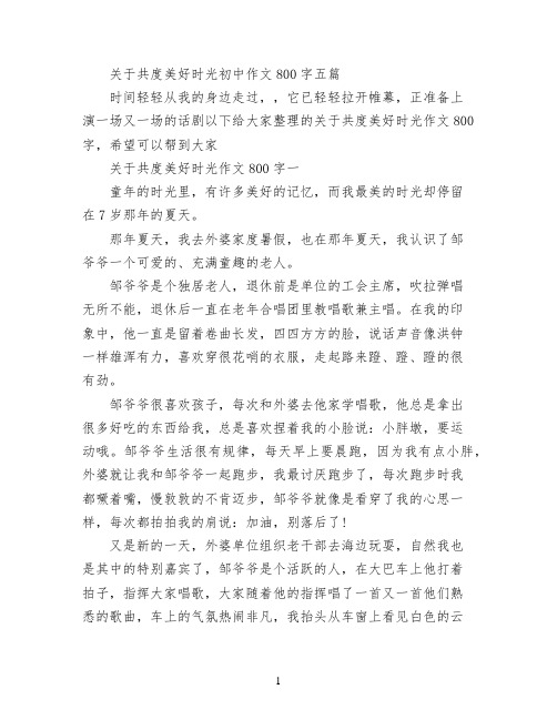 关于共度美好时光初中作文800字五篇