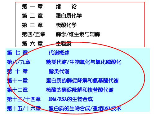 代谢引论(上传)
