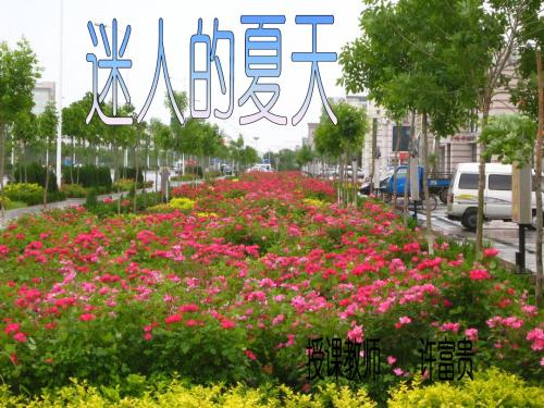 北师大版二年级语文下册《迷人的夏天》PPT课件PPT、优质教学课件