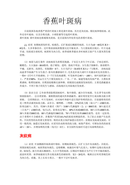 香蕉各种叶斑病