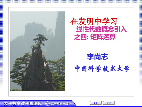 在发明中学习线代数概念引入之四矩阵运算课件