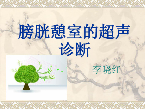 膀胱憩室超声诊断