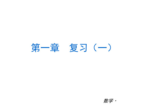 新人教版 七年级上全册复习课件(PPT共223张)