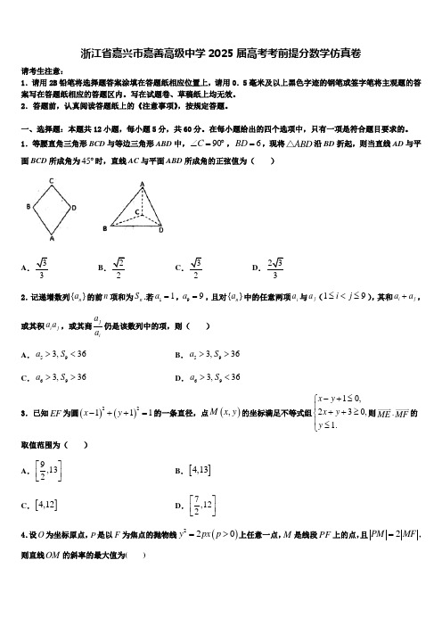 浙江省嘉兴市嘉善高级中学2025届高考考前提分数学仿真卷含解析