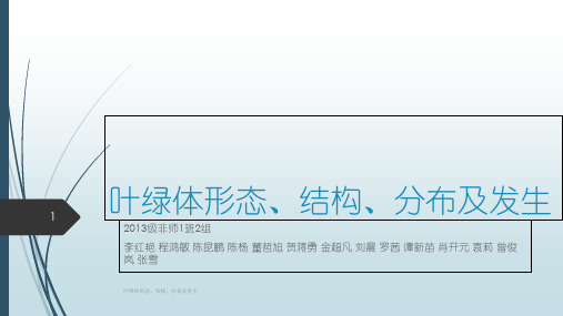 叶绿体形态、结构、分布及发生 PPT