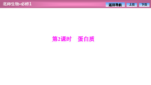 2019-2020学年北师大版高中生物必修1课件：第2章  第3节 第2课时 蛋白质
