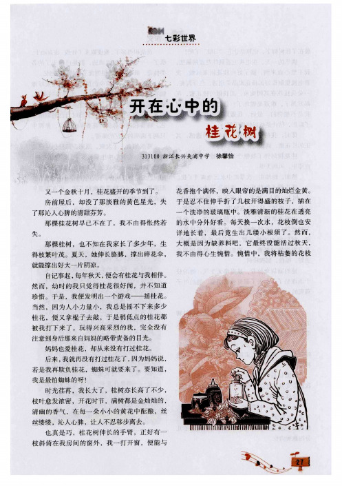 开在心中的桂花树