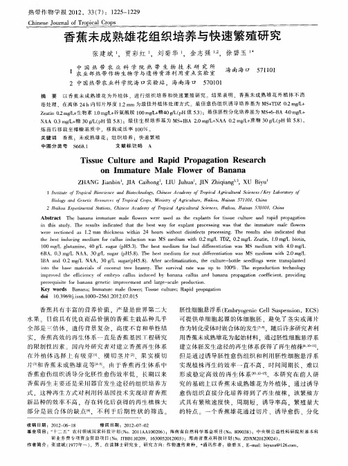 香蕉未成熟雄花组织培养与快速繁殖研究