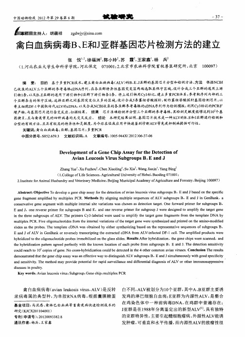 禽白血病病毒B、E和J亚群基因芯片检测方法的建立