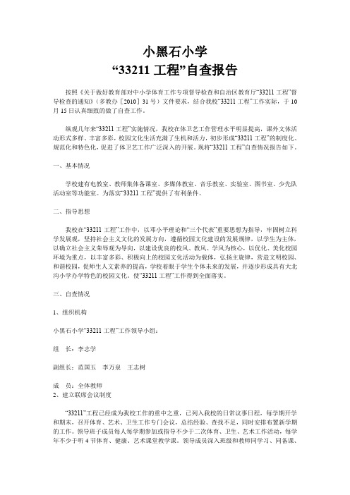 “33211工程”自查报告