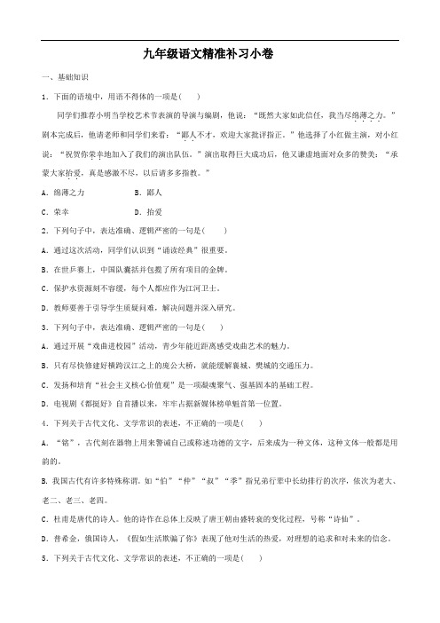 人教版中考语文九年级语文精准补习小卷含答案解析