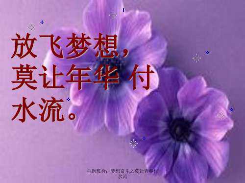 主题班会：梦想奋斗之莫让青春付水流课件