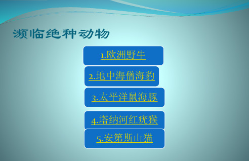 濒危动物