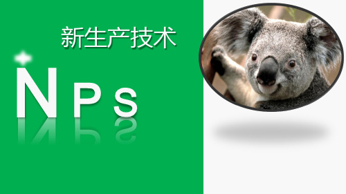 工业工程NPS总结.pptx