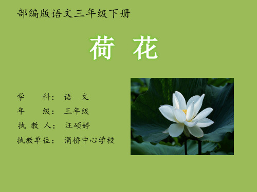 《荷花》第二课时ppt