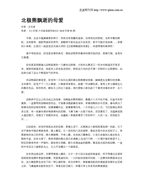 北极熊飘逝的母爱