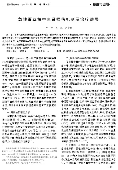 急性百草枯中毒肾损伤机制及治疗进展