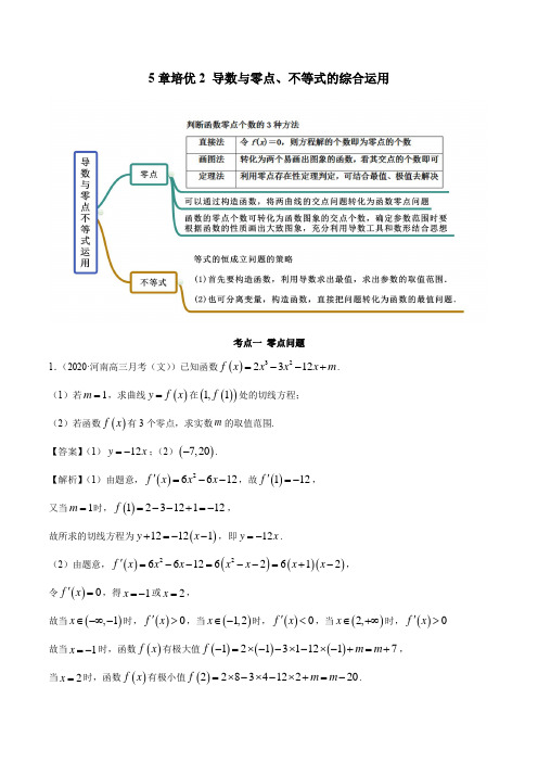 【高中数学】5章培优2 导数与零点、不等式的综合运用(精讲)(解析版)