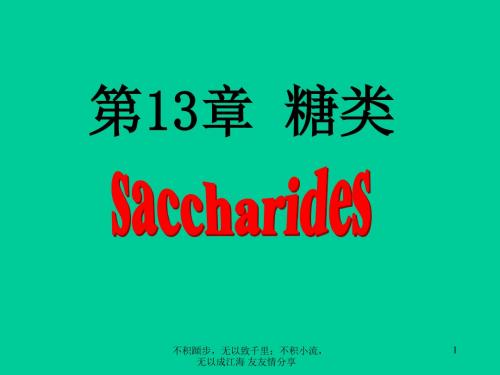 糖概念和分类-精品文档