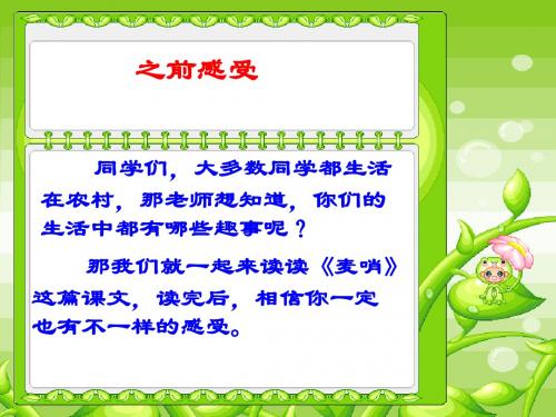 24.麦哨