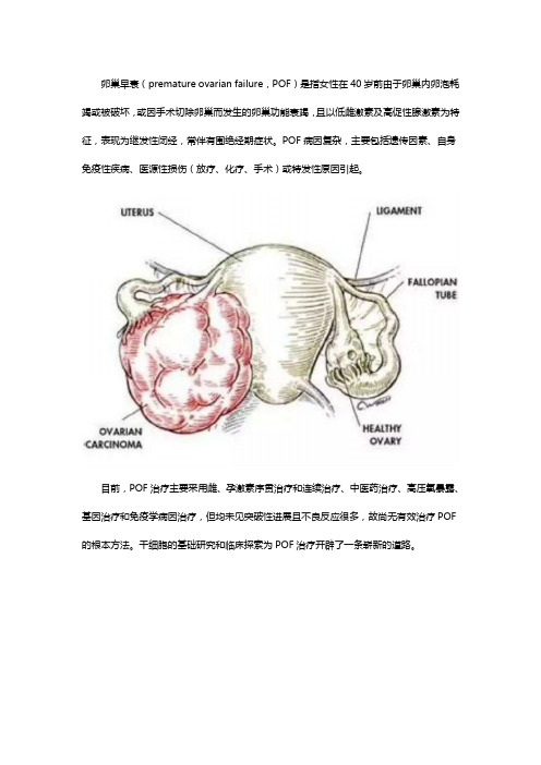 间充质干细胞对于卵巢早衰的治疗作用