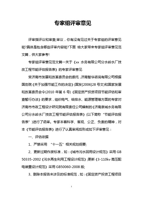 专家组评审意见