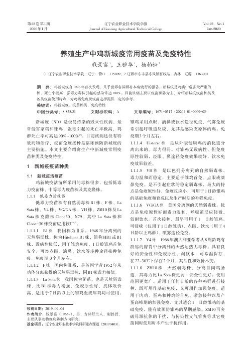 养殖生产中鸡新城疫常用疫苗及免疫特性