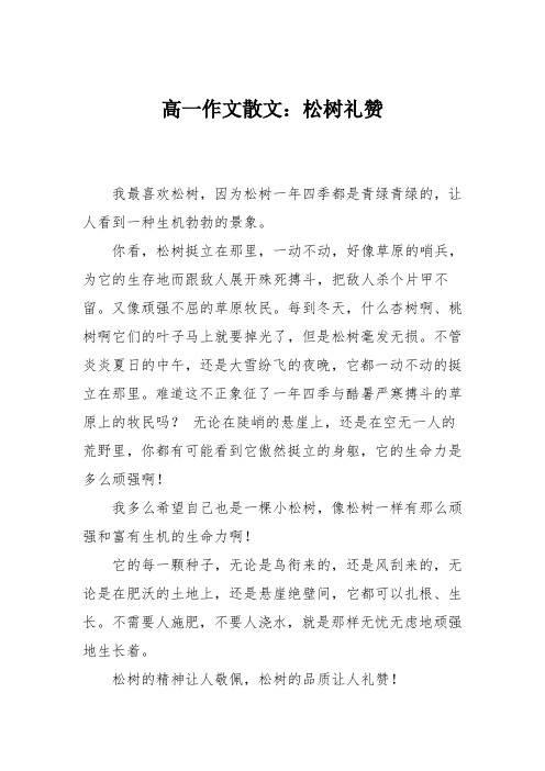 高一作文散文：松树礼赞