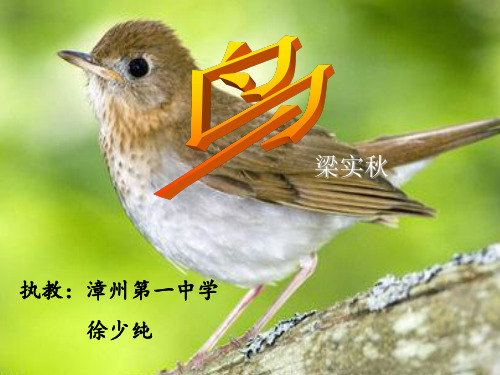 初中语文人教版(部编)七年级上册18 鸟