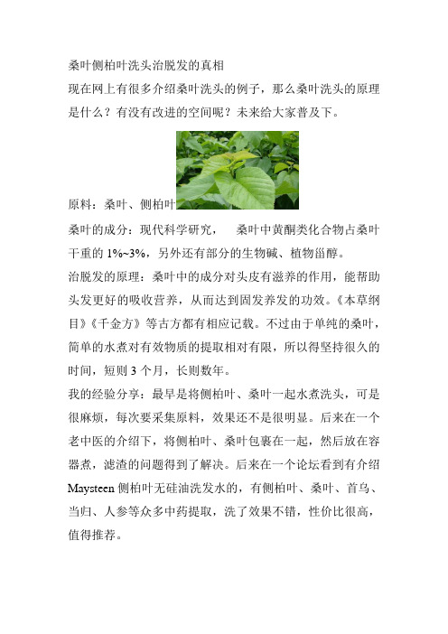 侧柏叶桑叶洗头治脱发的真相