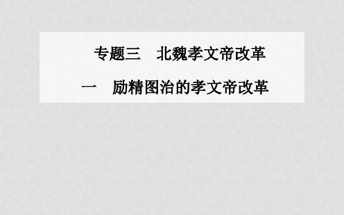 高中历史 专题三、一励精图治的孝文帝改革课件 人民版选修1