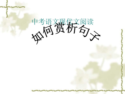 中考句子赏析方法.ppt