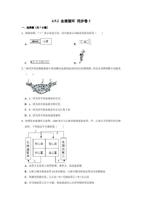 北师大版生物七年级下册 血液循环