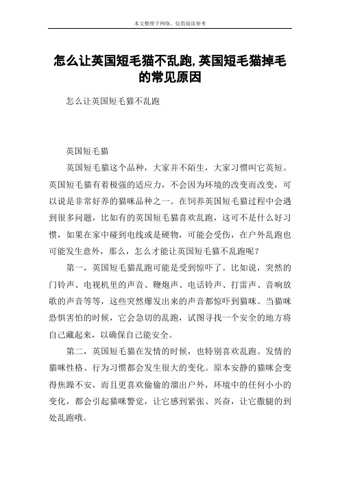 怎么让英国短毛猫不乱跑,英国短毛猫掉毛的常见原因