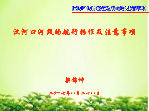 汊河口河段的航行操作及注意事项