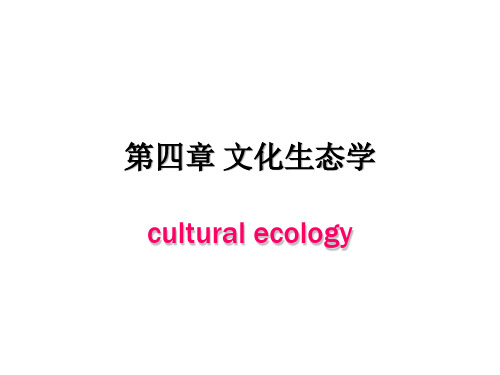 第4章 文化生态学