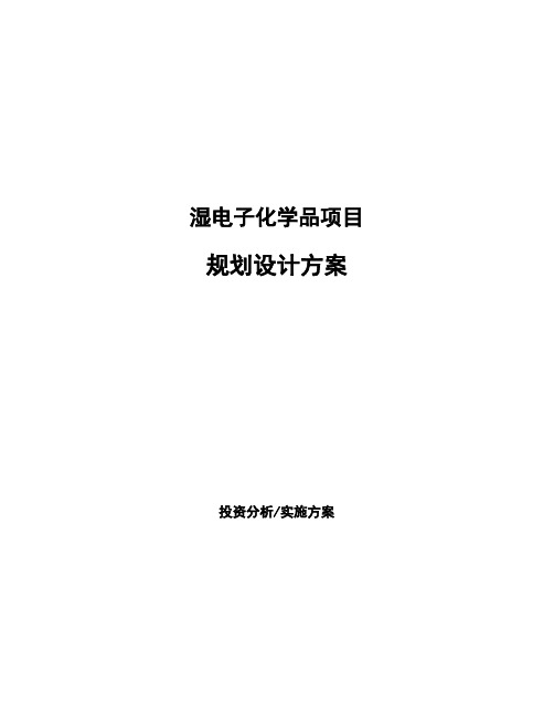 湿电子化学品项目规划设计方案 (1)