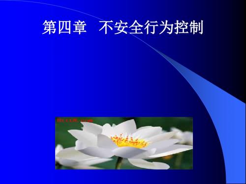 《不安全行为控制》PPT课件