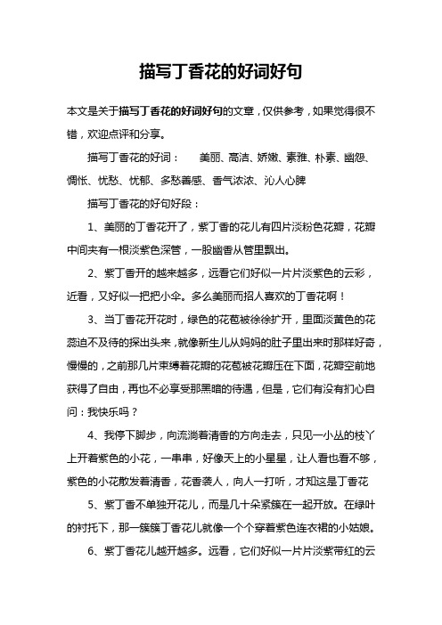 描写丁香花的好词好句