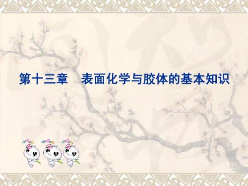 第十三章表面化学与胶体的基本知识