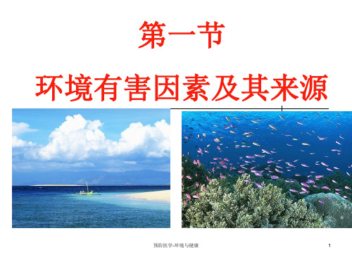 预防医学-环境与健康ppt课件