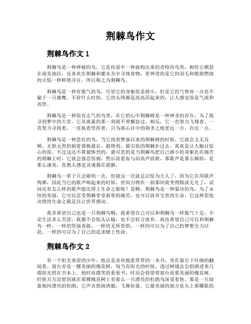 荆棘鸟作文