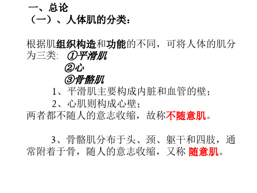 肌学总论躯干肌new