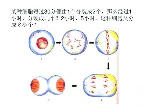 六年级数学上册 2.9《有理数的乘方》课件4 鲁教版五四