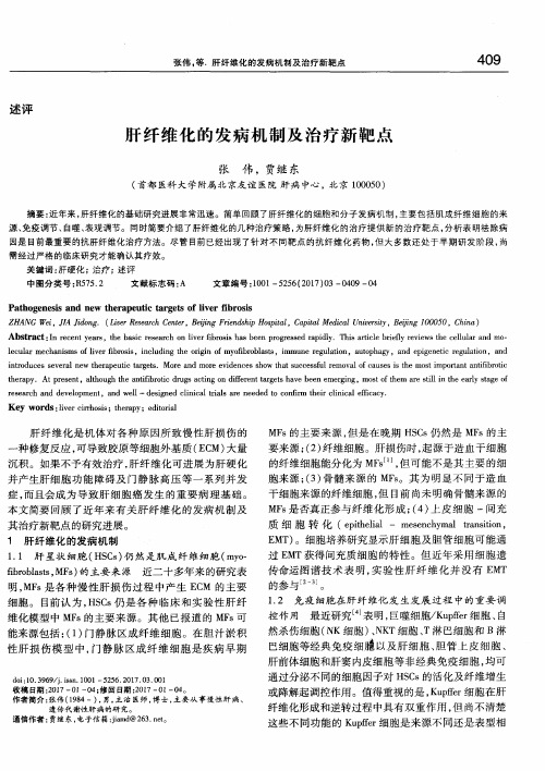肝纤维化的发病机制及治疗新靶点
