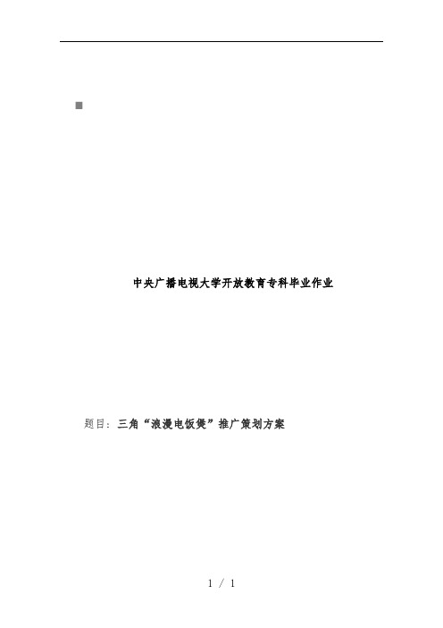 三角“浪漫电饭煲”推广规划案