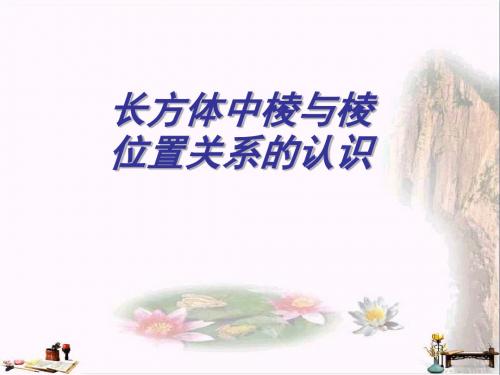 上海市松江区六年级数学下册 8.3 长方体中棱与棱位置关系的认识课件 沪教版五四制